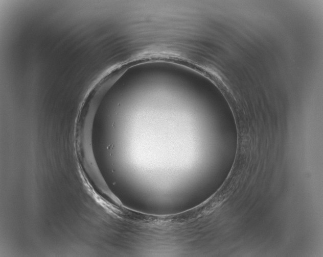 X0000072511038200607290127