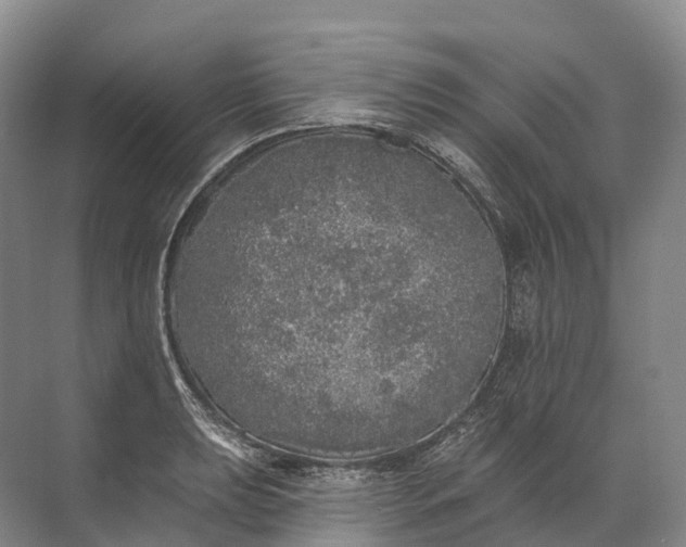 X0000072511039200607290127