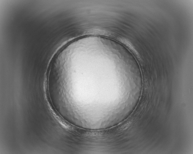 X0000072511040200607290127