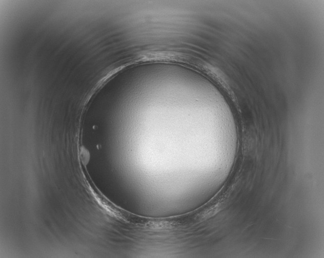 X0000072511041200607290127