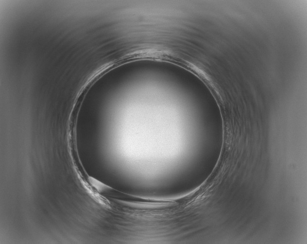 X0000072511042200607290127