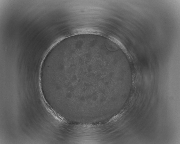 X0000072511043200607290127