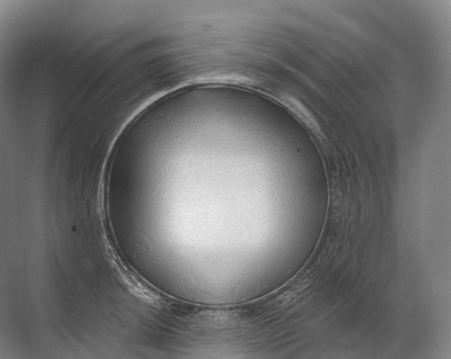 X0000072511044200607290127