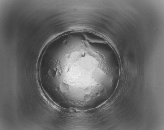 X0000072511045200607290127