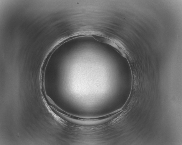 X0000072511046200607290127