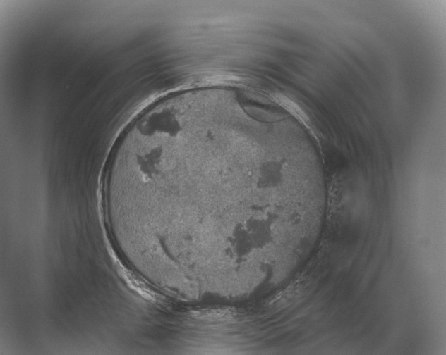 X0000072511047200607290127