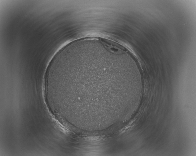 X0000072511048200607290127