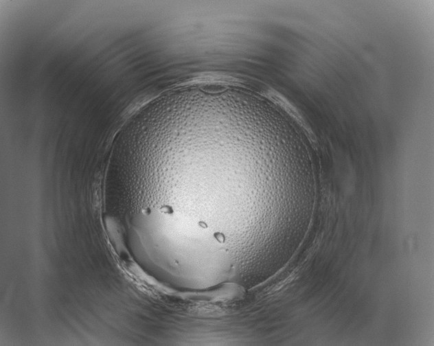 X0000072511049200607290127