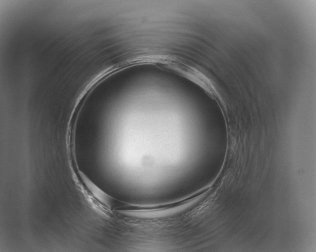 X0000072511050200607290127