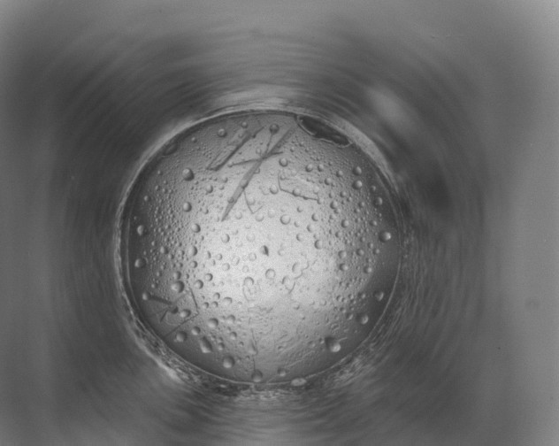 X0000072511051200607290127