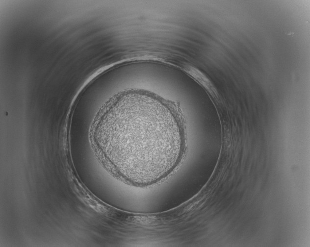 X0000072511052200607290127