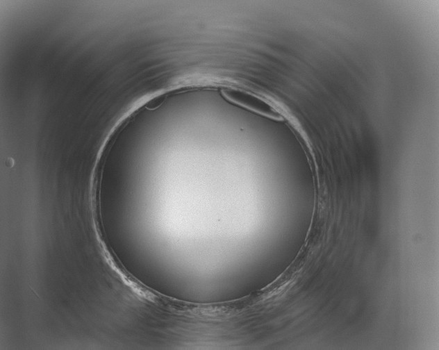 X0000072511053200607290127