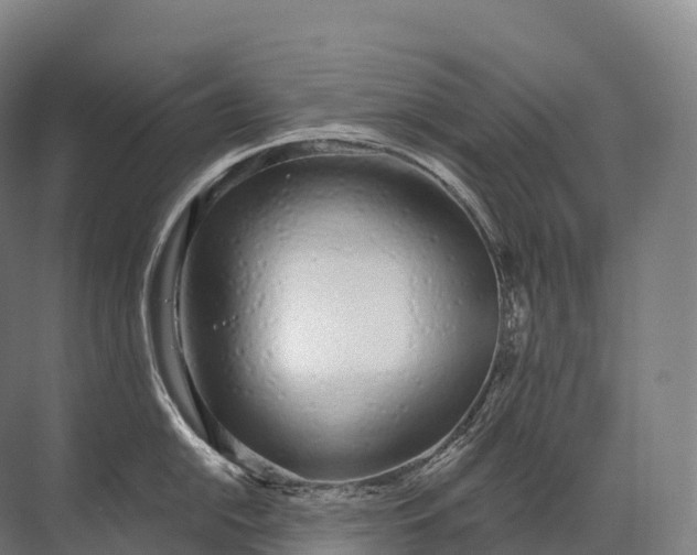 X0000072511054200607290127