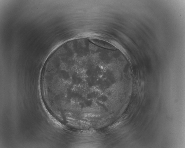 X0000072511055200607290127