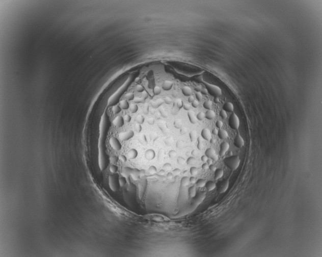 X0000072511056200607290127