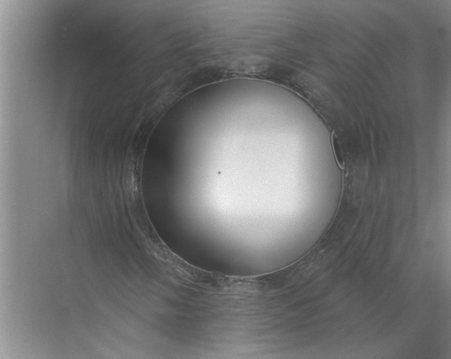 X0000072511058200607290126