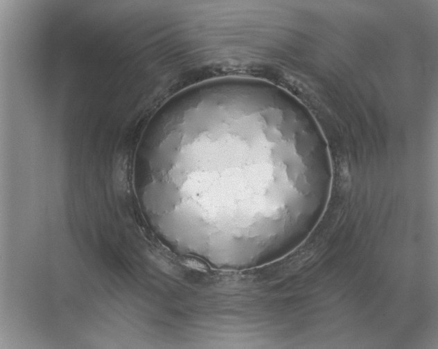 X0000072511060200607290126