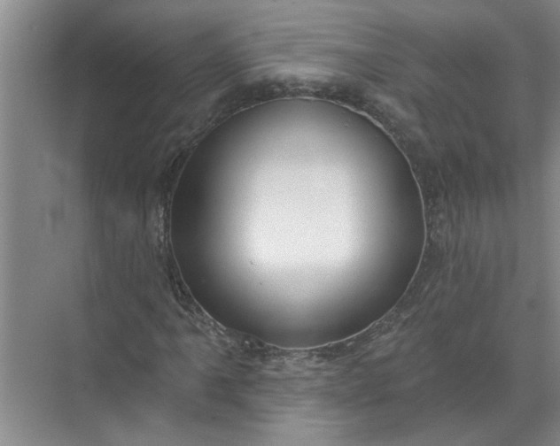 X0000072511061200607290126