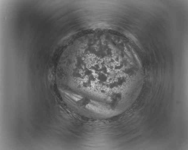 X0000072511063200607290126