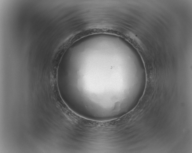 X0000072511064200607290126