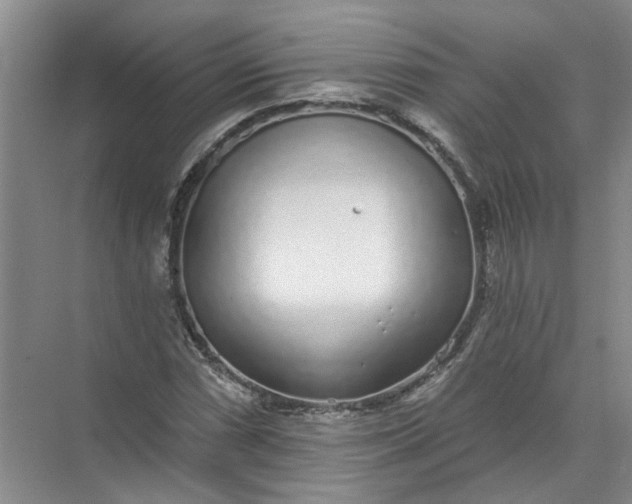 X0000072511066200607290126