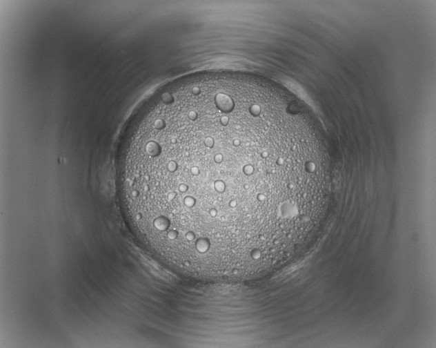 X0000072511067200607290126