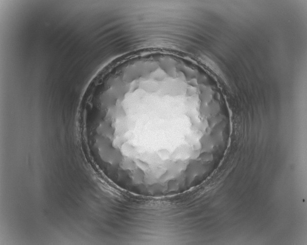 X0000072511068200607290126