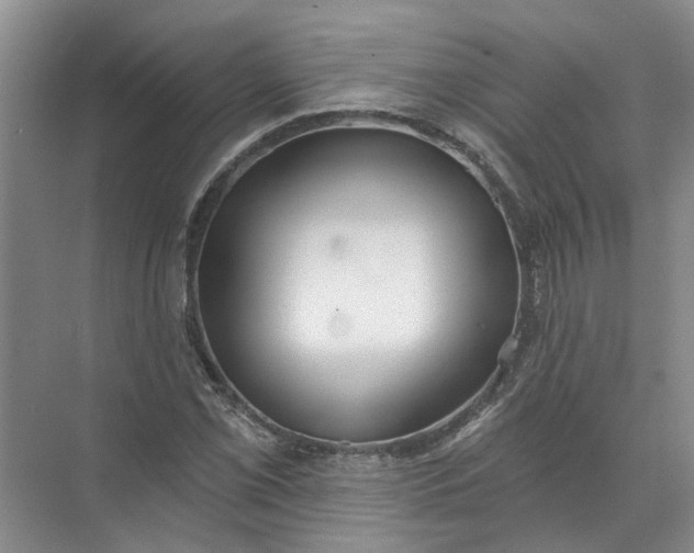 X0000072511069200607290126