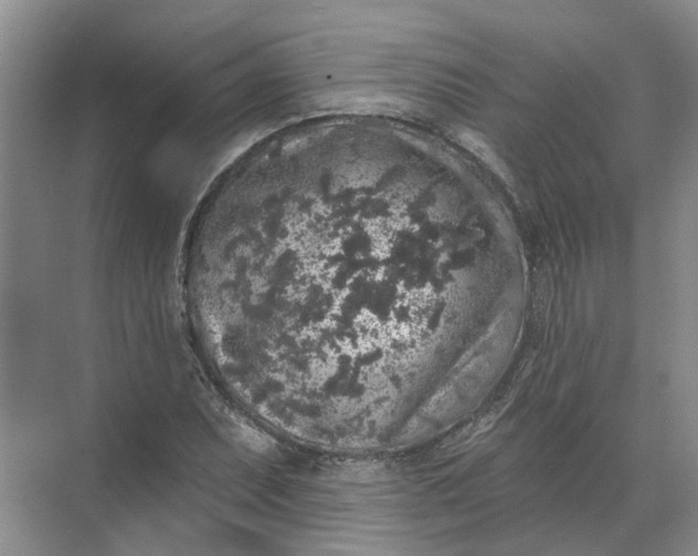 X0000072511071200607290126