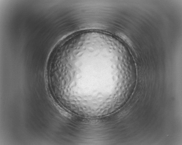 X0000072511072200607290126