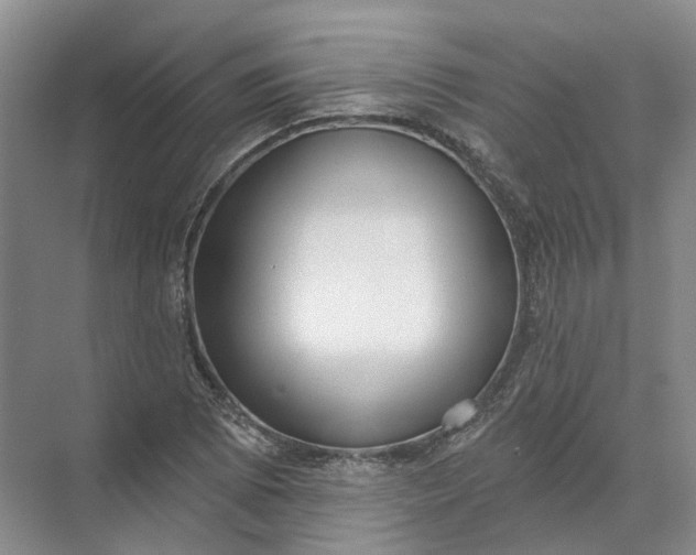 X0000072511073200607290126