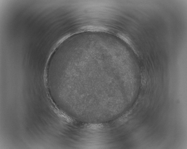 X0000072511074200607290126