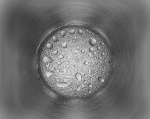 X0000072511075200607290126