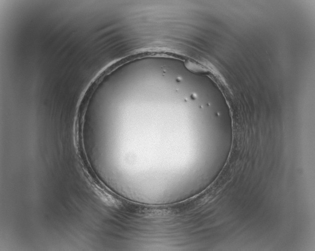 X0000072511076200607290126