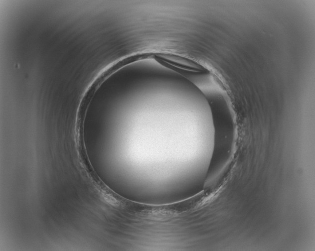 X0000072511077200607290126