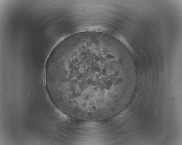 X0000072511079200607290126