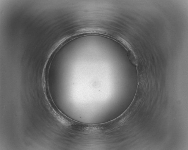 X0000072511082200607290126