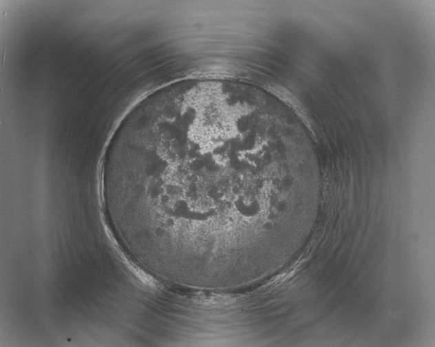 X0000072511083200607290126