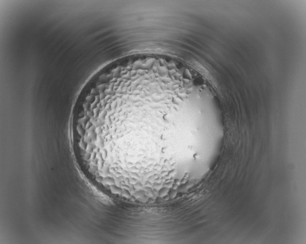 X0000072511084200607290126