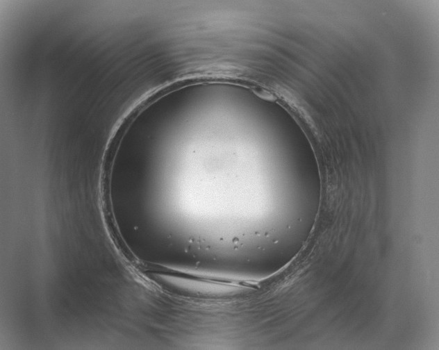 X0000072511085200607290126