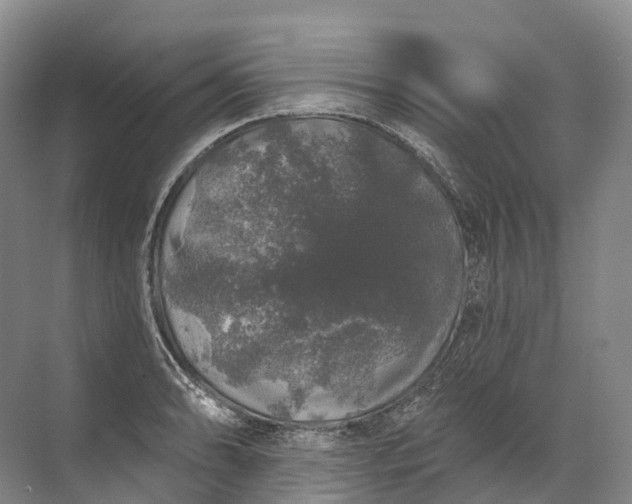 X0000072511086200607290126