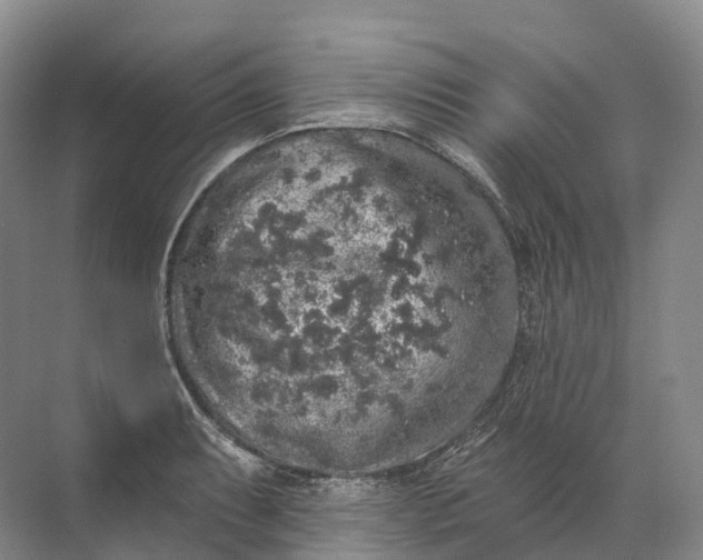 X0000072511087200607290126