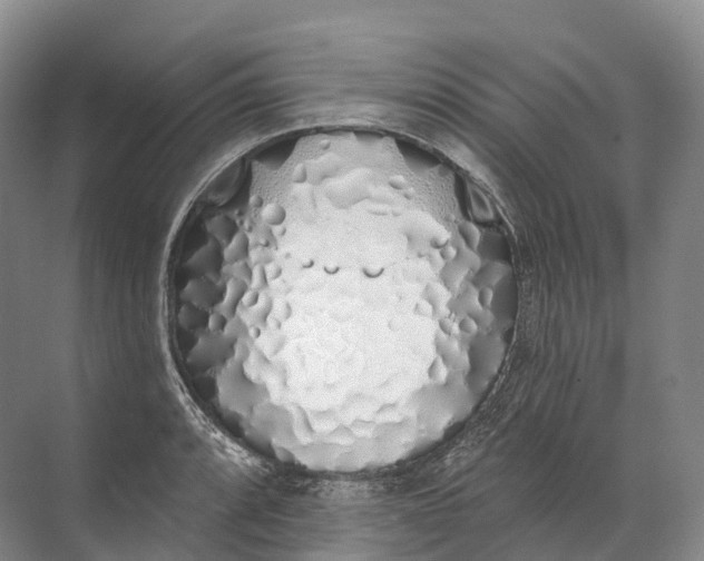 X0000072511088200607290126