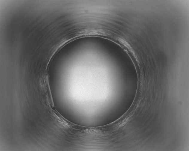 X0000072511089200607290126