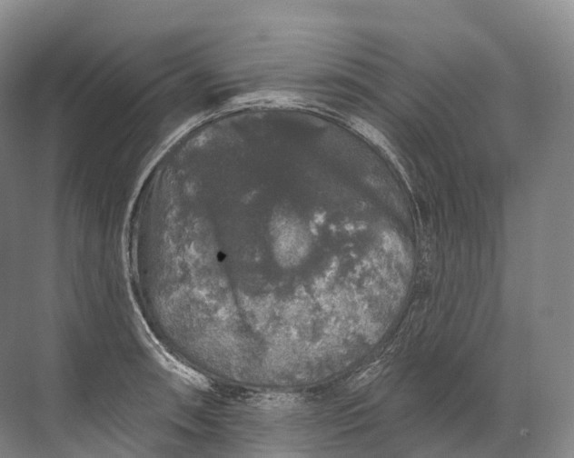 X0000072511090200607290126