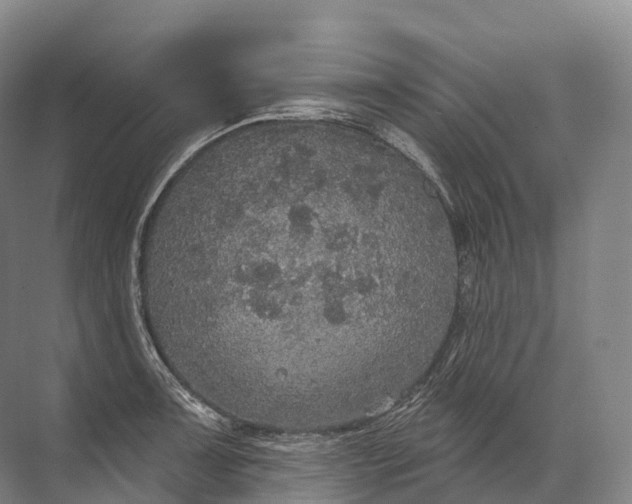 X0000072511091200607290126