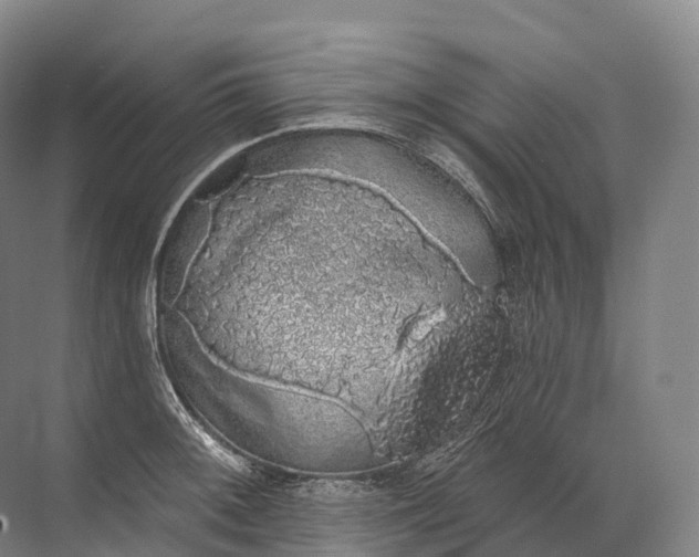 X0000072511092200607290126