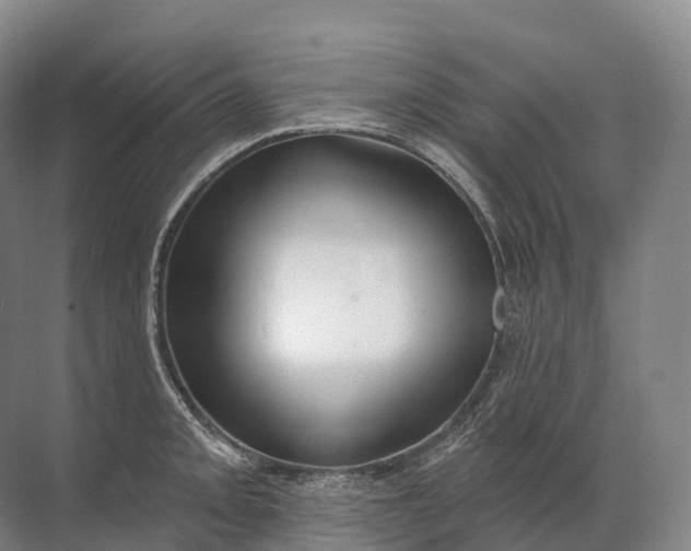 X0000072511093200607290126