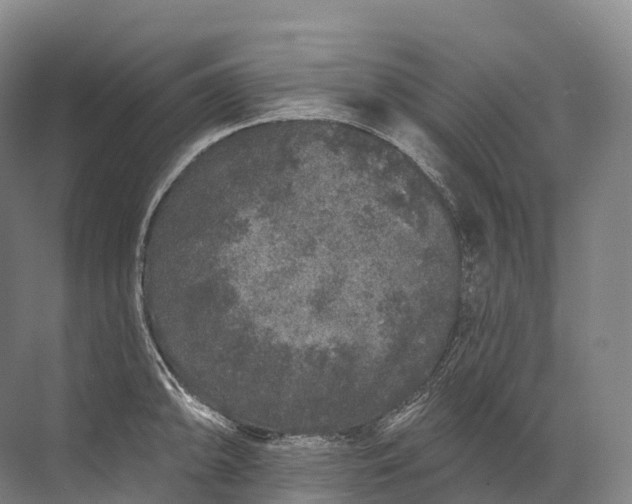 X0000072511094200607290126