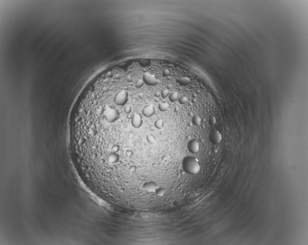 X0000072511095200607290126